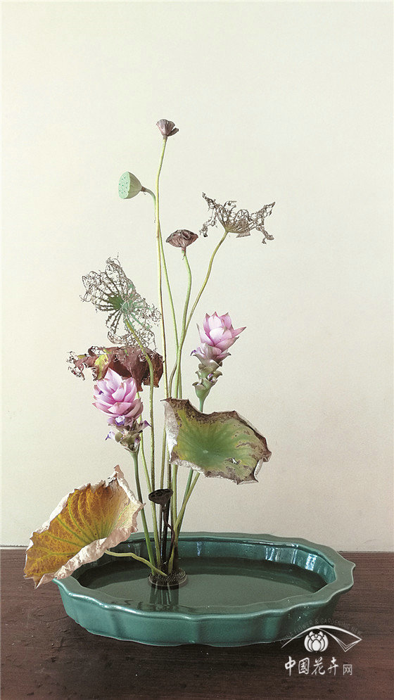 殘荷插花作品欣賞