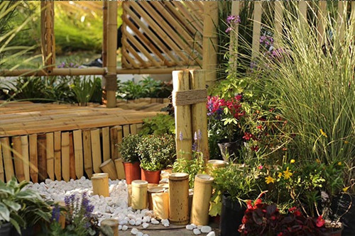 北京林業大學舉辦首屆國際花園建造節