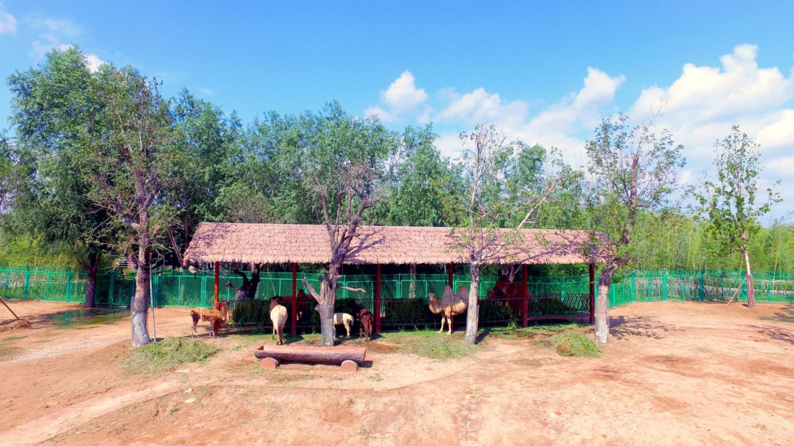 園冶杯專業獎：臨沂動植物園散養區景觀設計