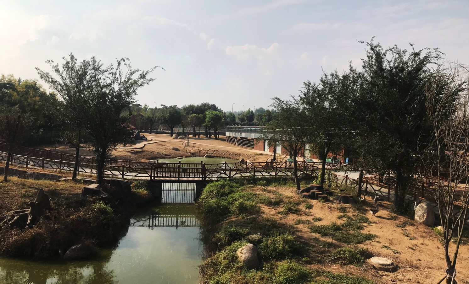 園冶杯專業獎：臨沂動植物園散養區景觀設計