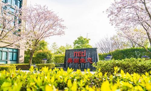 美尚生態王迎燕入選福布斯最佳女性CEO榜單