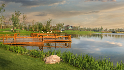 園冶杯專業(yè)獎：武陟龍澤湖公園