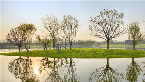 園冶杯專業(yè)獎：武陟龍澤湖公園