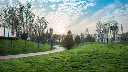 園冶杯專業(yè)獎：武陟龍澤湖公園