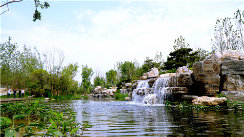 園冶杯專業(yè)獎：武陟龍澤湖公園