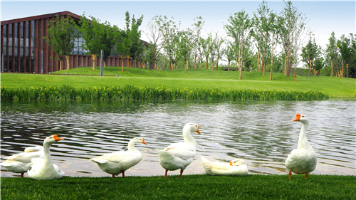 園冶杯專業(yè)獎：武陟龍澤湖公園