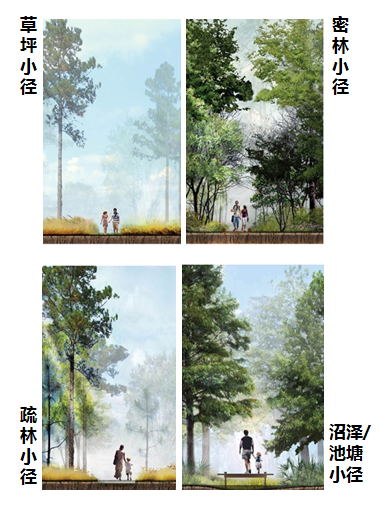 園冶杯專業獎：濟南章丘小東山濕地公園