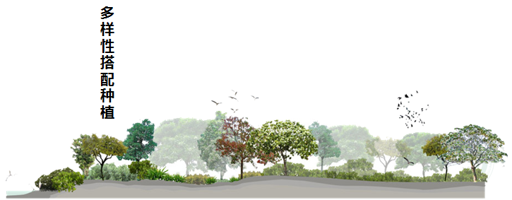 園冶杯專業獎：濟南章丘小東山濕地公園