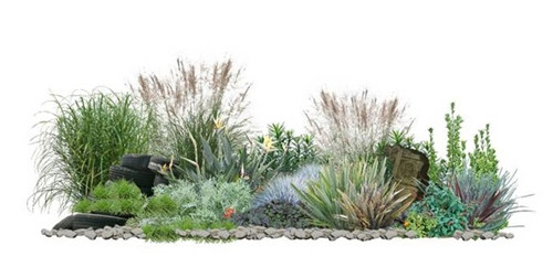 河北省第二屆園博會花境作品——戰爭反思錄