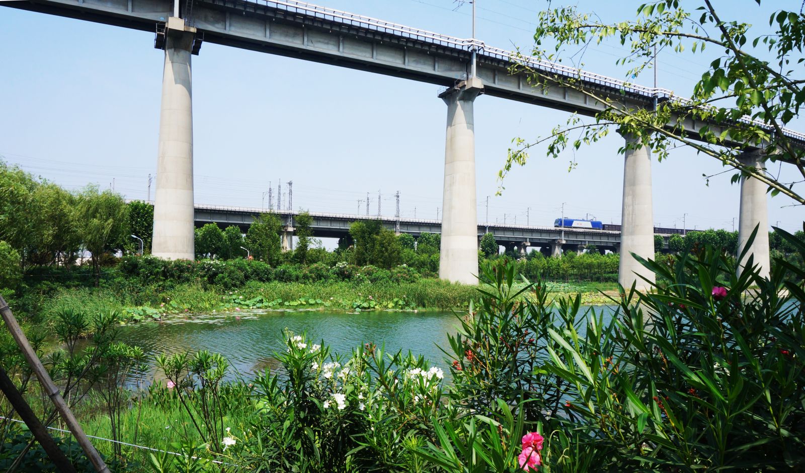 園冶杯專業獎:戴家湖公園生態修復工程