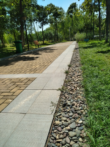 園冶杯專業獎:戴家湖公園生態修復工程