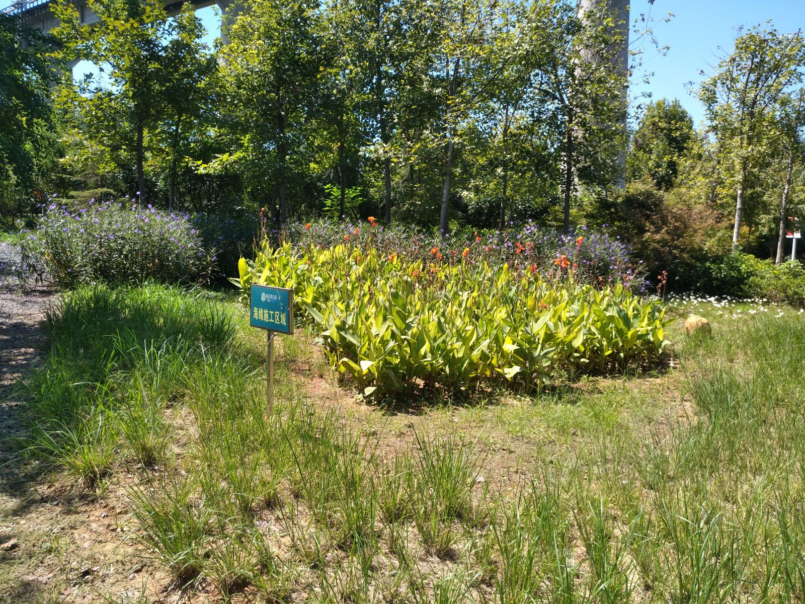 園冶杯專業獎:戴家湖公園生態修復工程