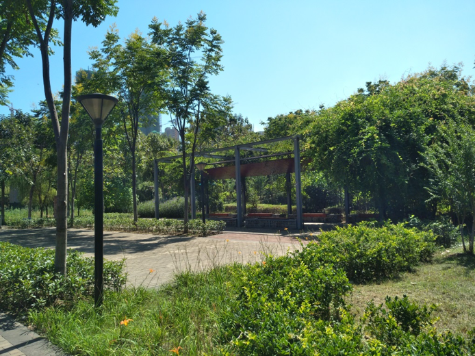 園冶杯專業獎:戴家湖公園生態修復工程