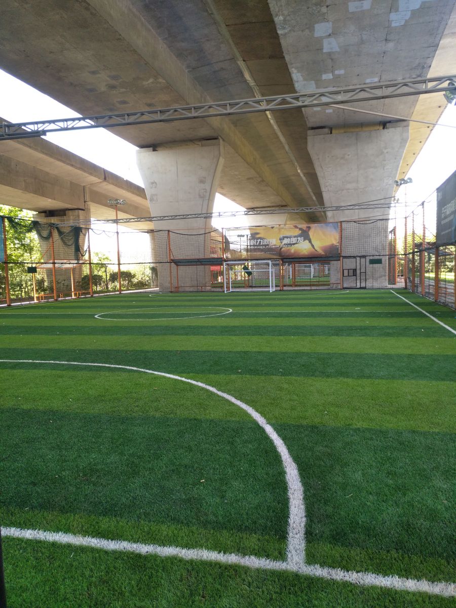 園冶杯專業獎:戴家湖公園生態修復工程