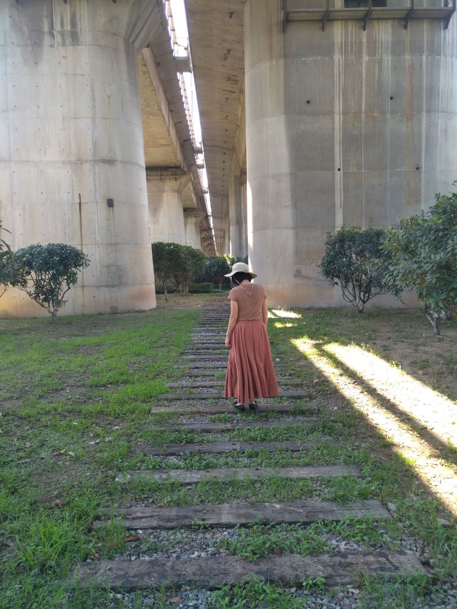 園冶杯專業獎:戴家湖公園生態修復工程