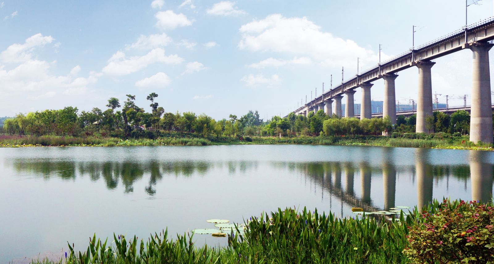 園冶杯專業獎:戴家湖公園生態修復工程