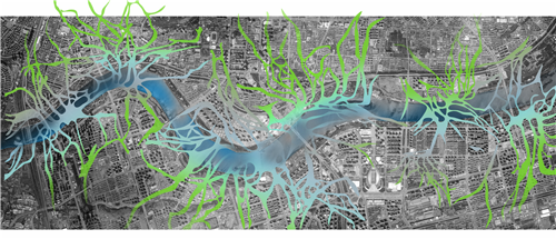 朱玲:城市大型公共綠地生態智慧迭代