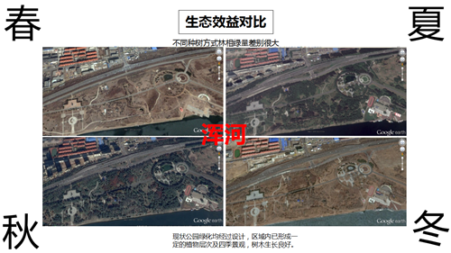 朱玲:城市大型公共綠地生態智慧迭代