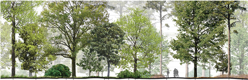 朱玲:城市大型公共綠地生態智慧迭代