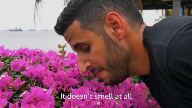 新加坡的垃圾填埋場猶如度假勝地的秘密