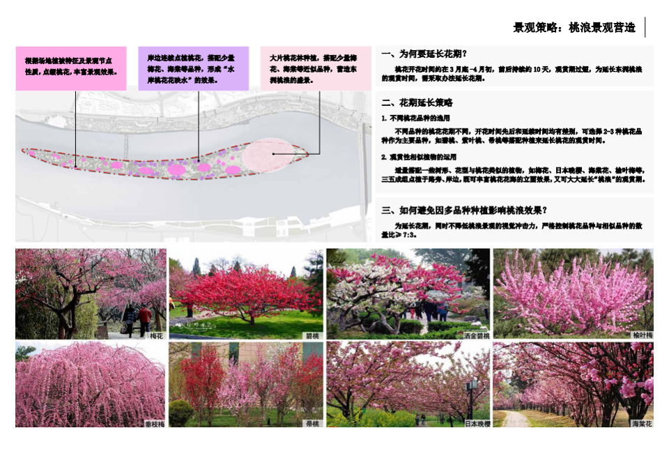 園冶杯專業獎：衡陽市東洲島綜合開發項目景觀設計