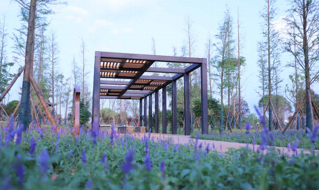 園冶杯專業獎：衡陽市東洲島綜合開發項目景觀設計