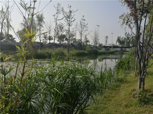 園冶杯專業獎:鳳陽縣新城區水系治理工程