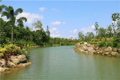 園冶杯專業(yè)獎(jiǎng)：不忘初心·共建紅林