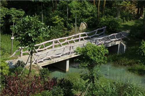 園冶杯專業(yè)獎(jiǎng)：不忘初心·共建紅林