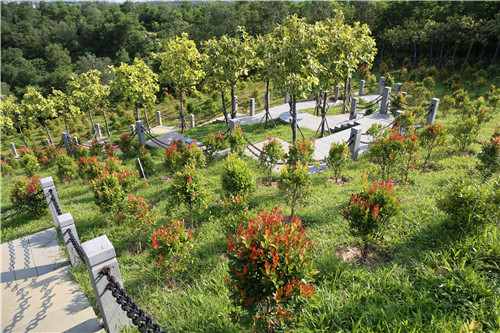 園冶杯專業(yè)獎(jiǎng)：不忘初心·共建紅林