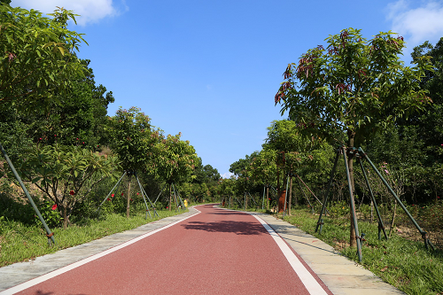 園冶杯專業(yè)獎(jiǎng)：不忘初心·共建紅林