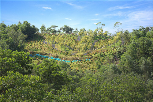 園冶杯專業(yè)獎(jiǎng)：不忘初心·共建紅林