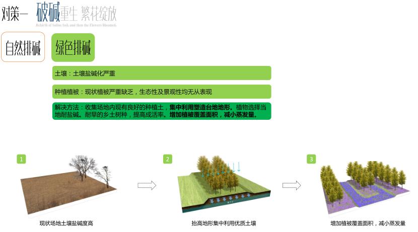 園冶杯專業獎:黃驊城西花卉園工程設計方案