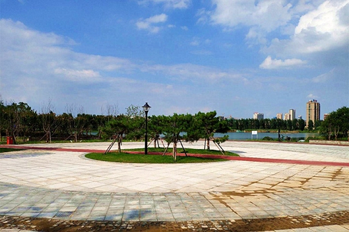 園冶杯專業獎：老黿塘濕地公園