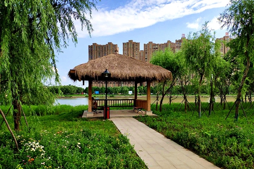 園冶杯專業獎：老黿塘濕地公園