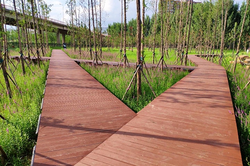 園冶杯專業獎：老黿塘濕地公園