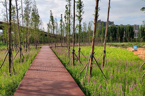 園冶杯專業獎：老黿塘濕地公園