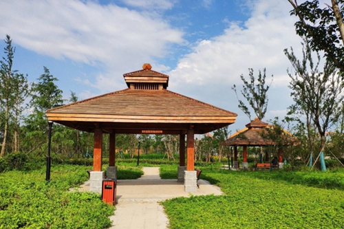 園冶杯專業獎：老黿塘濕地公園