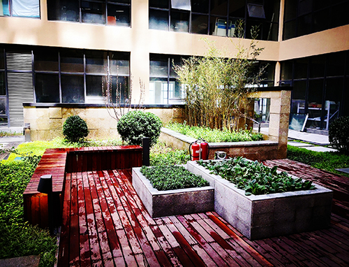 園冶杯專業(yè)獎:新華國際廣場天井園林景觀