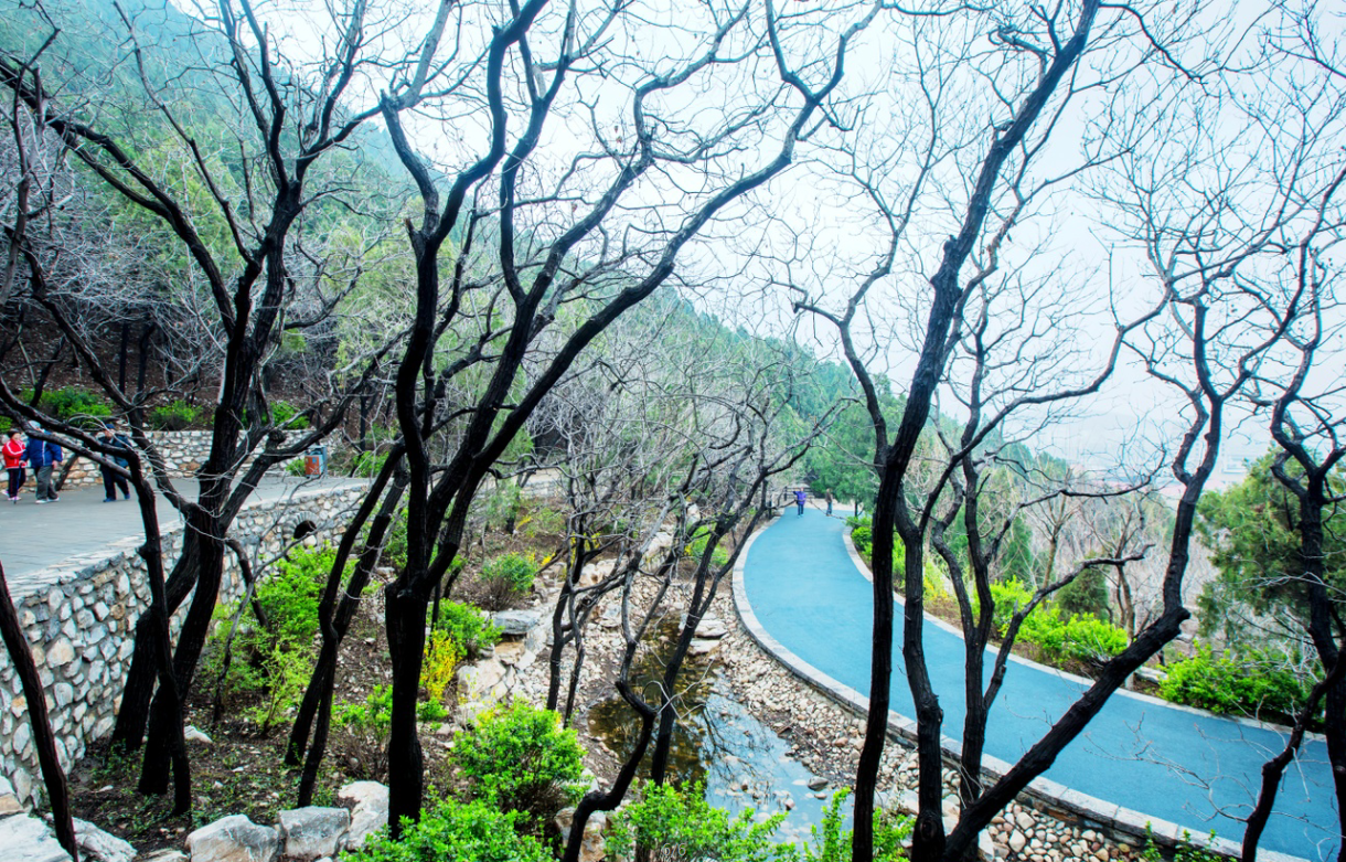 園冶杯專業獎：金雞嶺景區建設項目設計