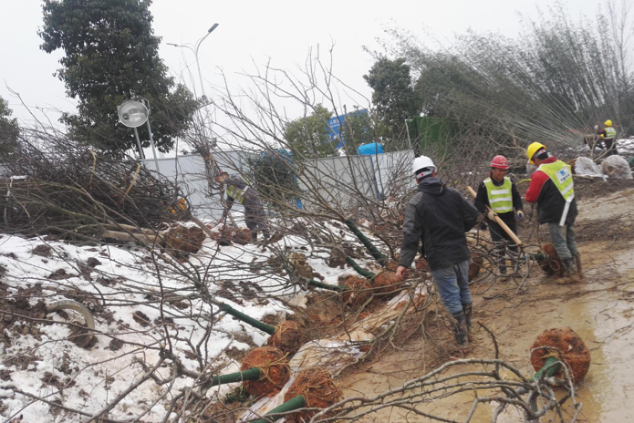 園冶杯專業(yè)獎：常德桃花源芙蓉公園景觀工程