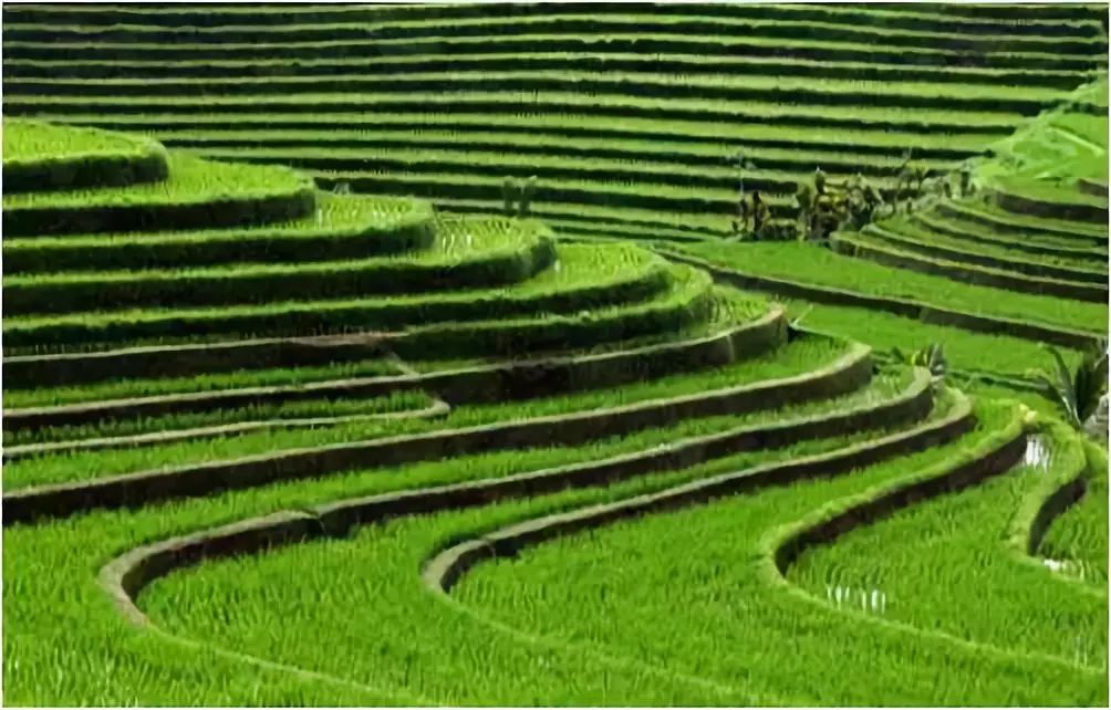 李建偉:美麗鄉村道