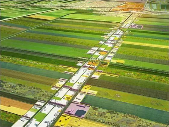 李建偉:美麗鄉村道