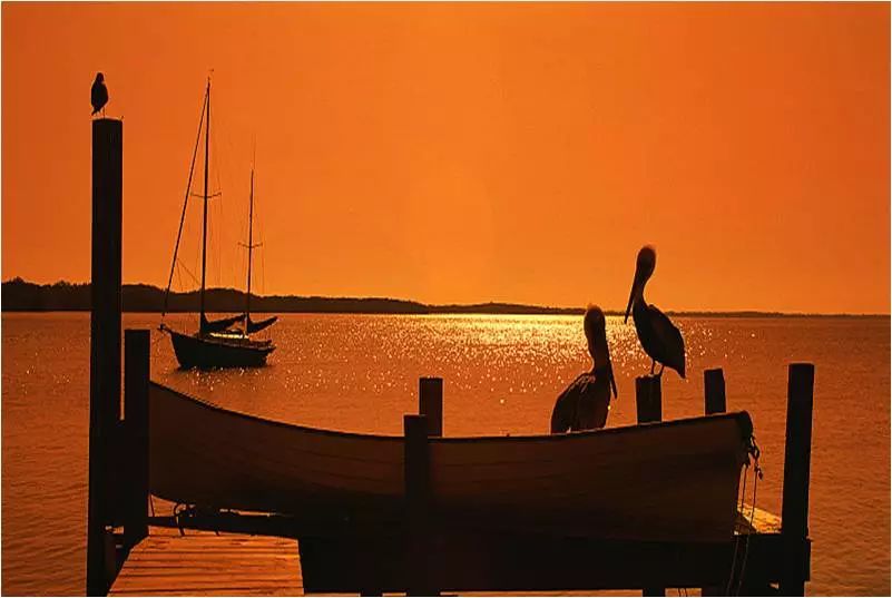 李建偉:美麗鄉村道