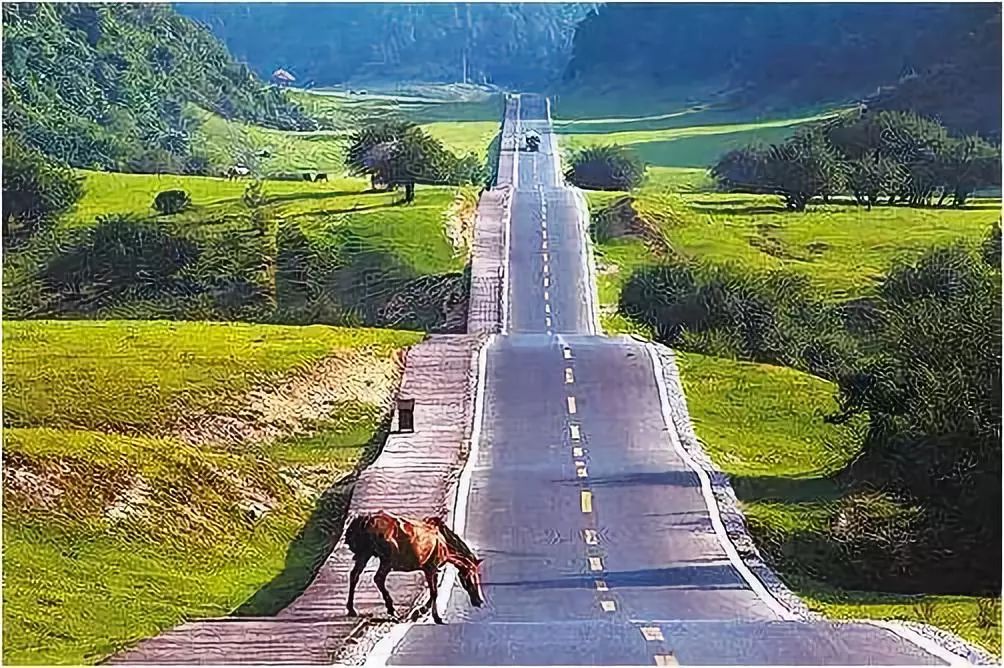 李建偉:美麗鄉村道