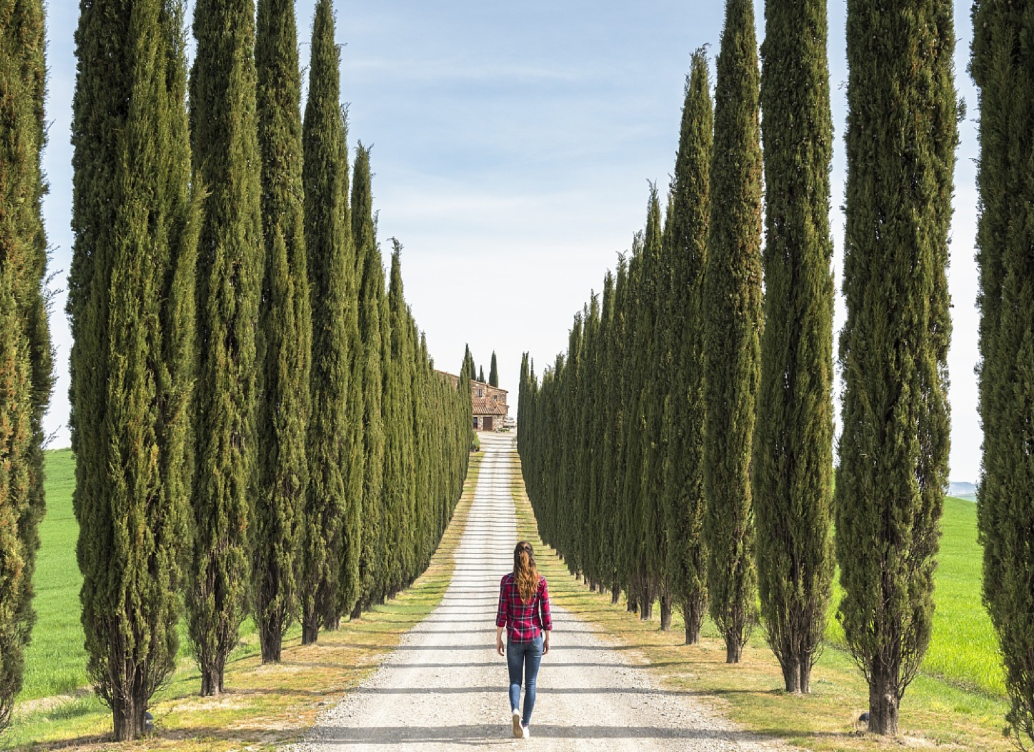 李建偉:美麗鄉村道