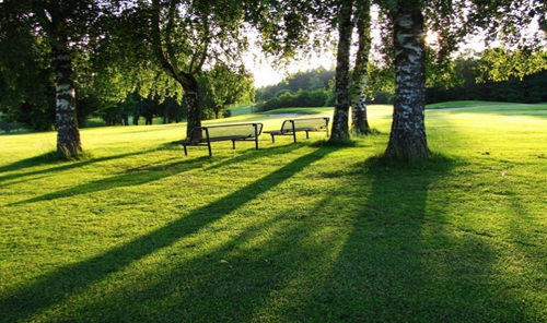 園冶杯專業獎：一碗水后街坡地公園景觀方案設計