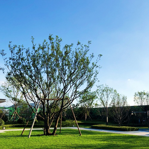 園冶杯專業獎：融創果嶺小鎮