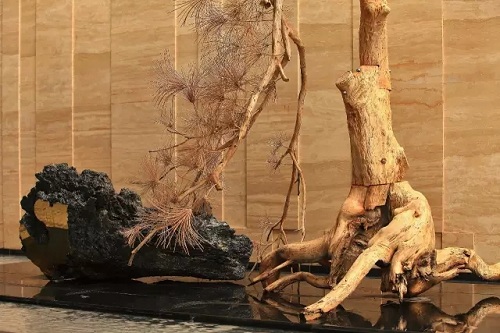 園冶杯專業獎:東原中央大街一期景觀工程