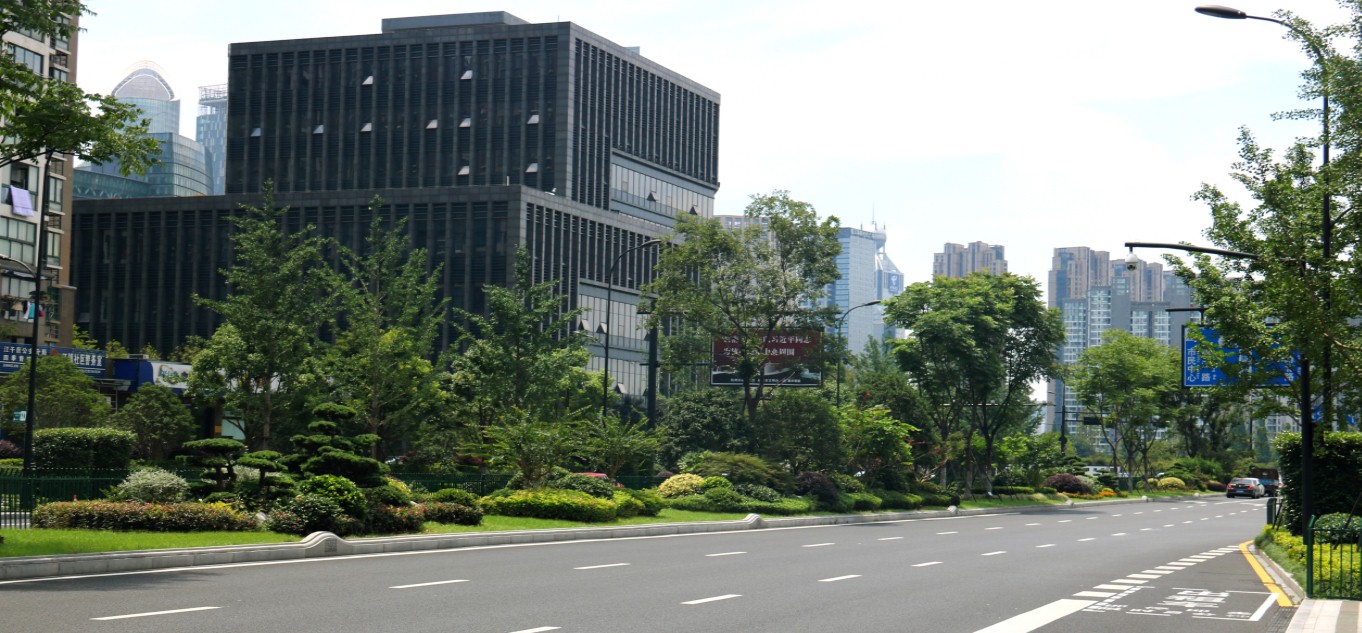 園冶杯專業(yè)獎:新塘路(新風路-新業(yè)路)綜合整治工程景觀綠化Ⅰ標段